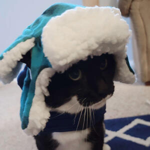 Xiao wearing a cute hat Xiao wearing a cute hat